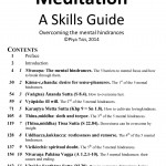 Meditation 2: a skills guide